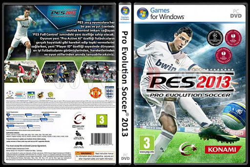 PES 2013